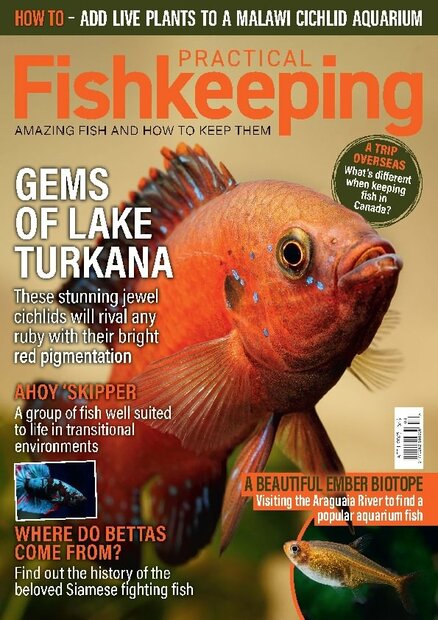 Practical Fishkeeping Magazine
