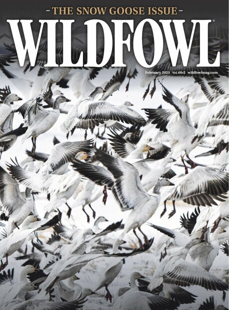 Wildfowl Magazine
