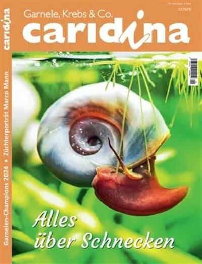 Caridina (Deutsch)