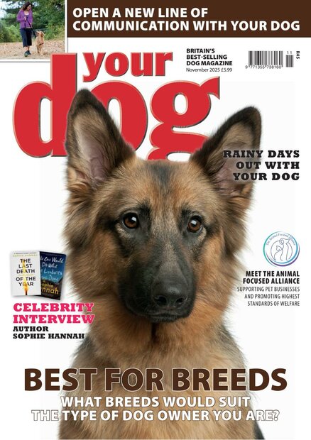 Your Dog Magazine