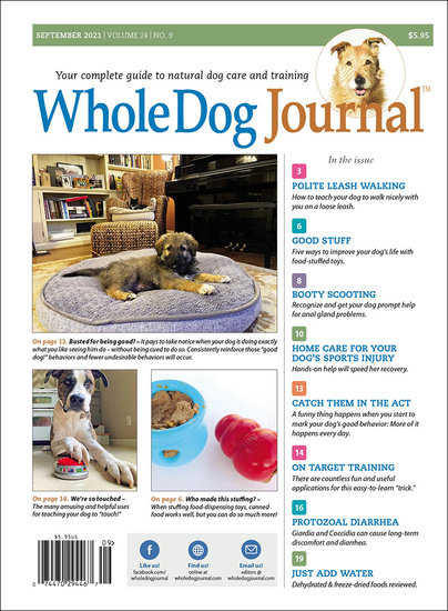 Whole Dog Journal Magazine