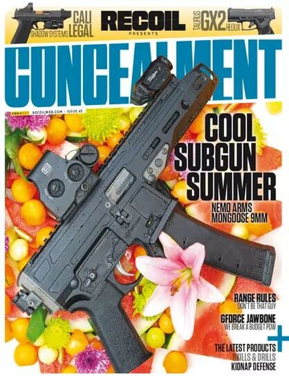 Recoil Concealment