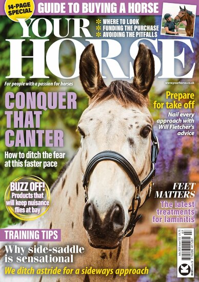 Your Horse Magazine