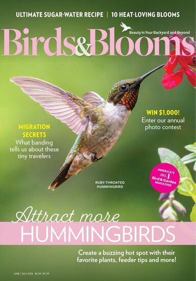 Birds &amp; Blooms Magazine