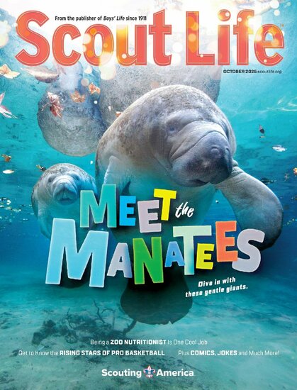 Boys&#039; Life Magazine