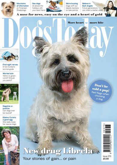 Dogs Today Magazine