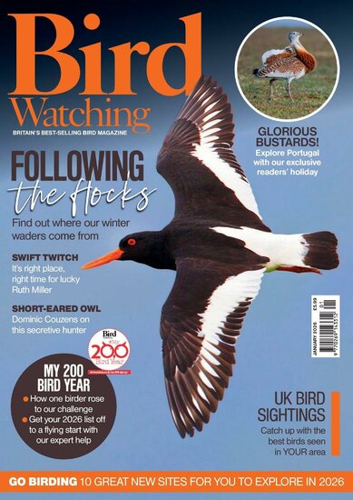 Bird Watching (UK) Magazine