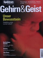 Gehirn &amp; Geist