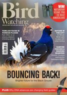 Bird Watching (UK) Magazine