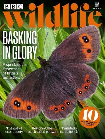 BBC Wildlife Magazine