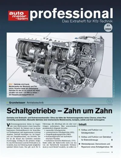 Auto Motor und Sport Professional (Allemand)