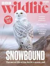 BBC Wildlife Magazine 1