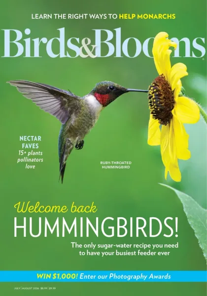 Birds & Blooms Magazine