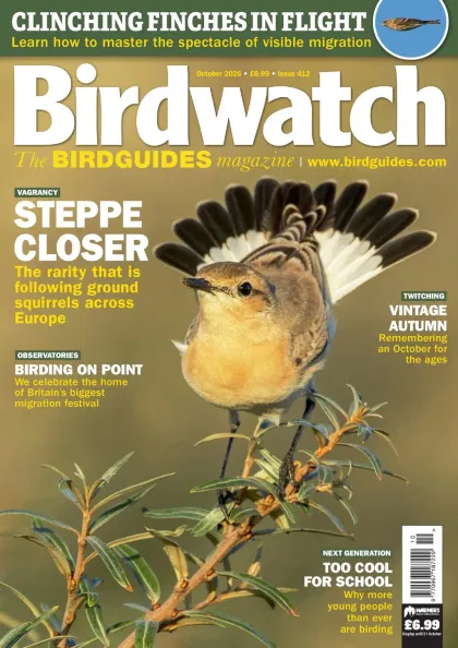 Birdwatch Magazine