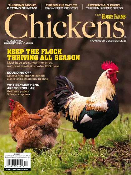 Chickens Magazine