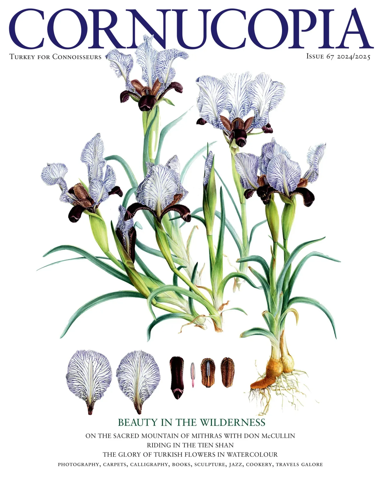 Cornucopia Magazine 1