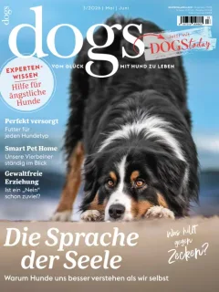 Dogs (Allemand) 1