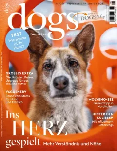 Dogs (Allemand)
