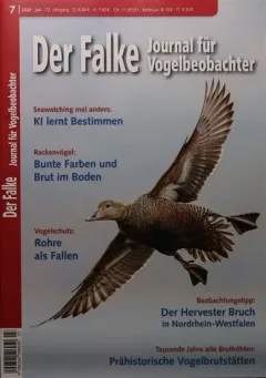 Falke (Allemand)