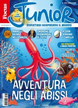 Focus Junior (Italien) 1