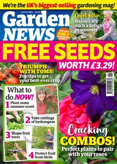 Garden News Magazine 1