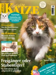 Geliebte Katze (Allemand)