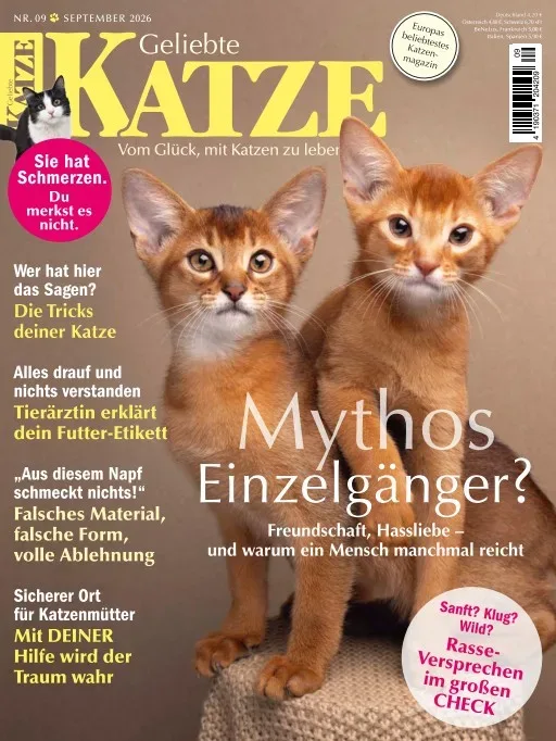 Geliebte Katze (Allemand)