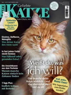 Geliebte Katze (Allemand)