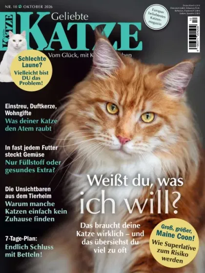 Geliebte Katze (Allemand)
