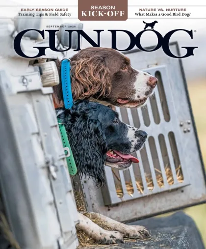 Gun Dog Magazine