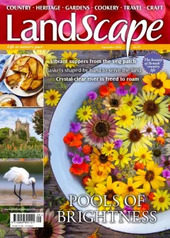 LandScape Magazine