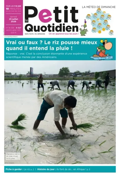 Le Petit Quotidien (Français)