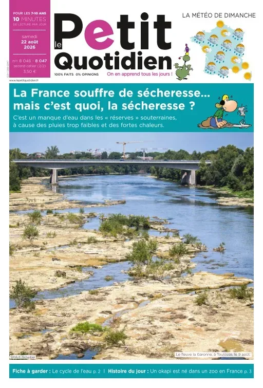 Le Petit Quotidien (Français)