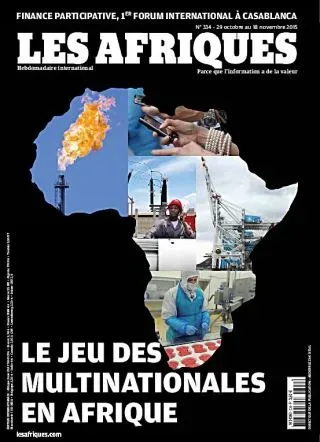 Les Afriques (Français)