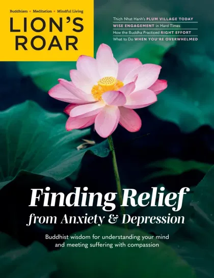 Lions Roar Magazine