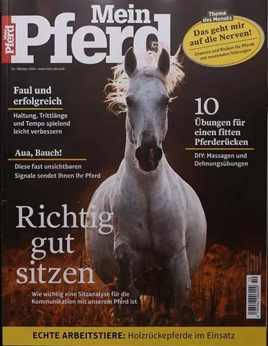 Mein Pferd (Allemand)