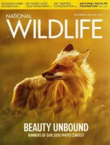 National Wildlife Magazine 1