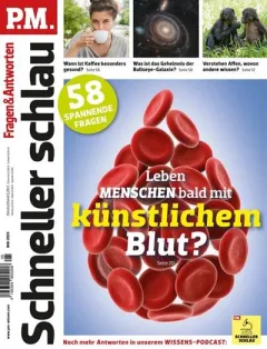 P.M. Schneller schlau (Allemand)