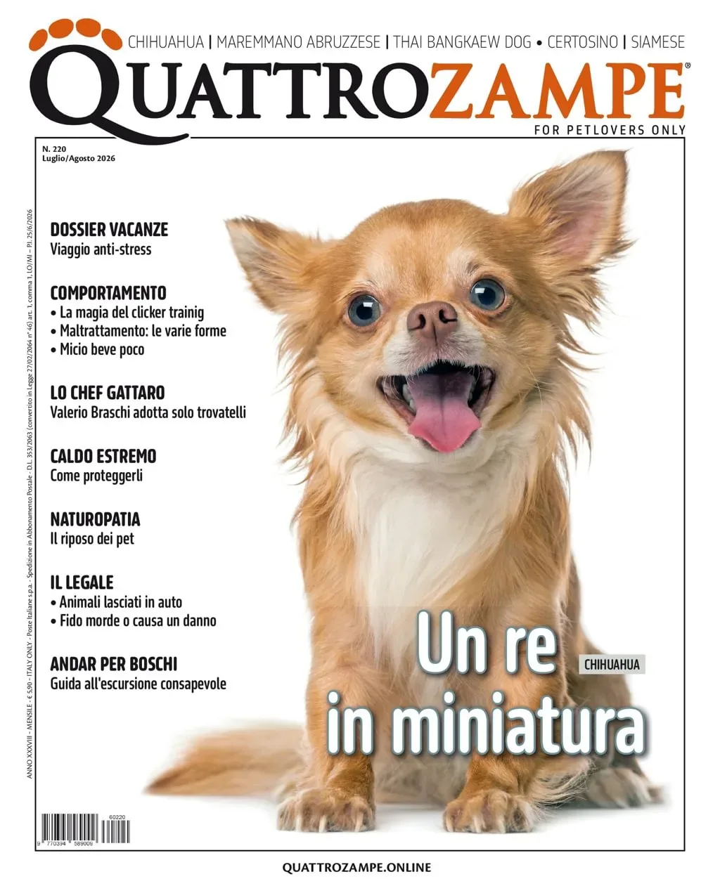 Quarter Horse Journal (Allemand)