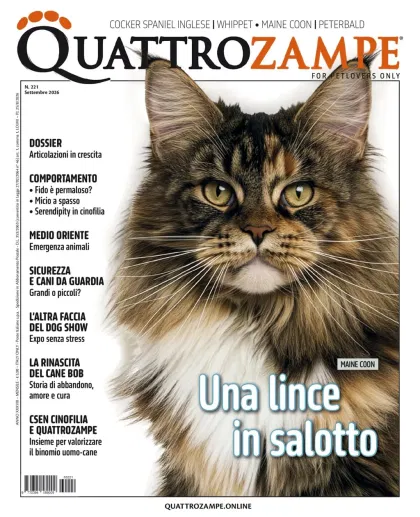Quarter Horse Journal (Allemand)