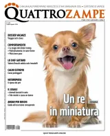 Quattro Zampe (Italien) 1