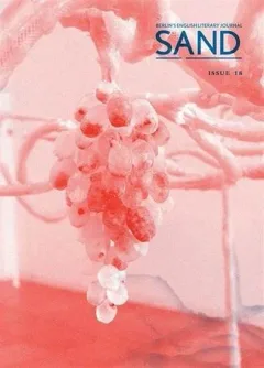 Sand Magazine (Anglais) 1