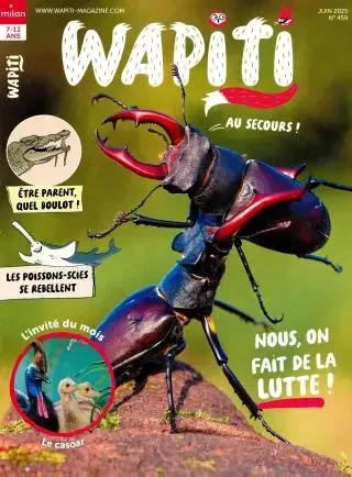 Wapiti (Français)