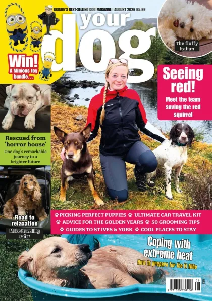 Your Dog Magazine